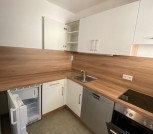 neue moderne Küche mit Spülmaschine und Kühlschrank