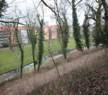 direkte Umgebung: Lenné-Park